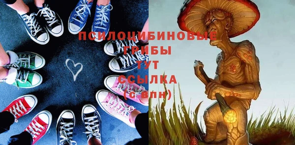 spice Балахна