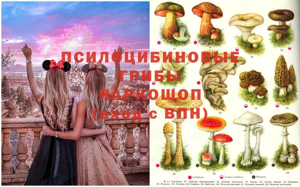 соль курить ск Баксан