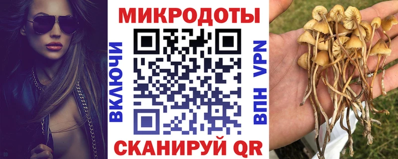 Галлюциногенные грибы Psilocybe  Купить  Беслан 